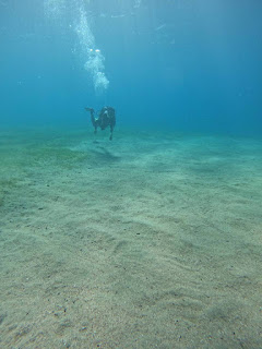 透明度の高いアカバの海中を泳ぐダイバーたち