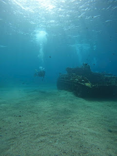 紅海の海底に沈むM42ダスター戦車と群がる魚たち